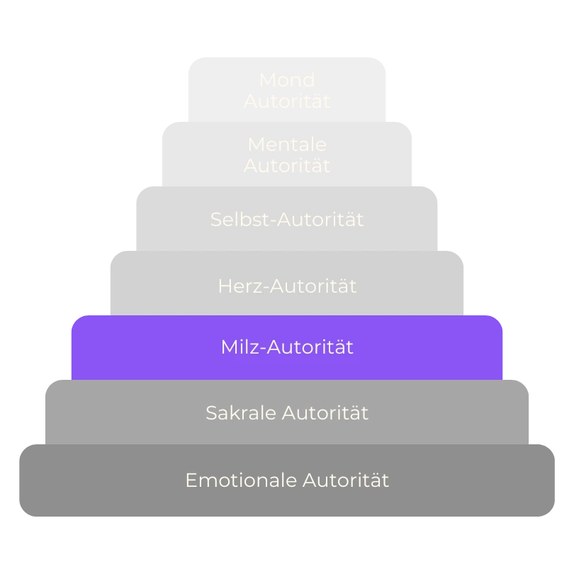 Autoritätenhierarchie Milz