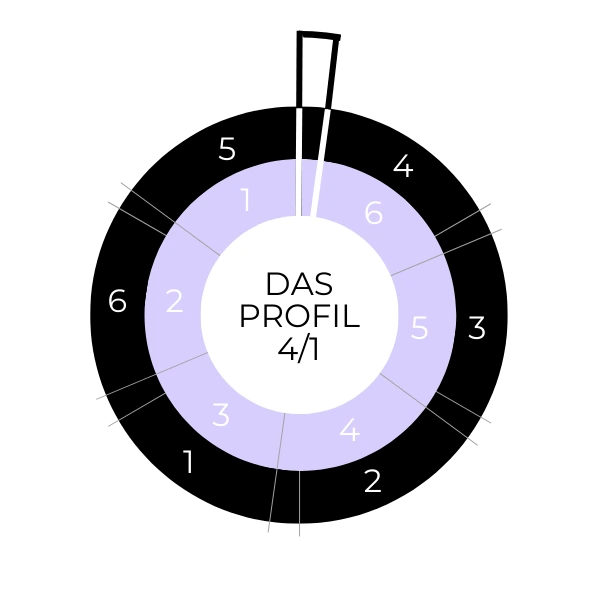 Human Design Profil 4/1