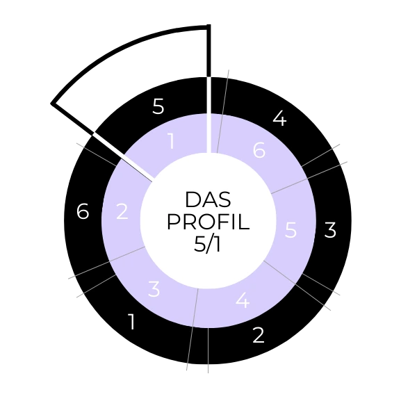 Human Design Profil 5/1